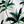 White Green Palm