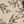 Beige Floral