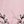 Light Pink Black