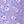 Purple Florals