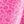 Pink Leopard