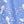 Blue Flowers