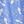 Blue Pigeons