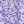 Purple Flowers