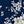 Navy Floral