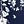 Navy Blue Flower
