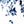White Blue Flower