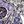 Amthyest Purple