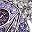 Amthyest Purple