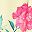 Yellow Pink