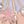 Seashell Pink Gold