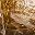 Gold Tone