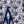 Floral Navy Blue
