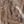 Coffee Color