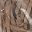 Coffee Color