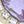 Gold Tone Purple