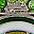 Lemon Green