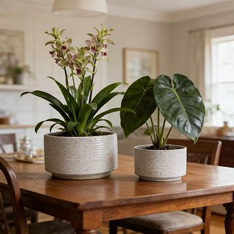 Loheer Handmade Ceramic Planter Set of Two for Aquatic Plants and Tabletop Decor