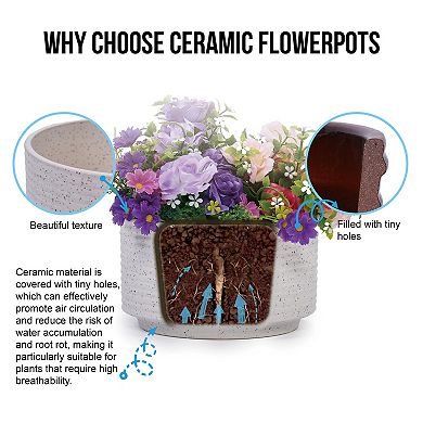 Loheer Handmade Ceramic Planter Set of Two for Aquatic Plants and Tabletop Decor