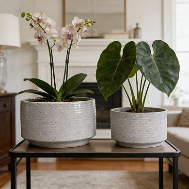 Loheer Handmade Ceramic Planter Set of Two for Aquatic Plants and Tabletop Decor