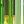 Darkgreen