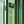 Lightgreen