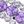 Silver Tone Purple