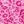 Hot Pink Leopard
