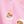 Pink Teddy