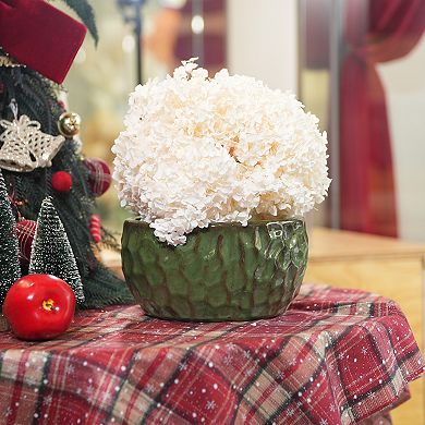 Loheer Handmade Green Glazed Ceramic Planter Set of Three with Hammered Texture for Plants