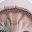 Light Pink Brown