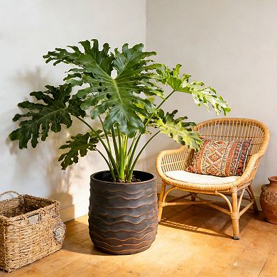 KWPZQEB Lightweight Magnesium Oxide Large Round Plant Pot Set of 2 with Texture & Drainage Hole