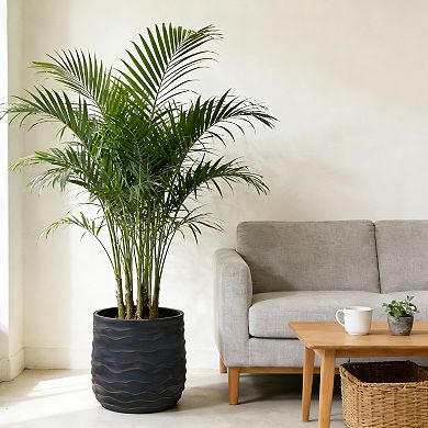 KWPZQEB Lightweight Magnesium Oxide Large Round Plant Pot Set of 2 with Texture & Drainage Hole
