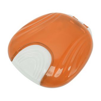 Shell-shaped Braces Box 1 pc