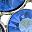 Blue Silvertone