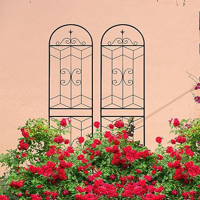 Loheer 2 Pack Metal Garden Trellis for Climbing Plants Outdoor Flower Support