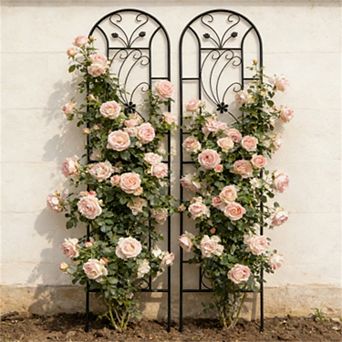 Loheer 2 Pack Metal Garden Trellis for Climbing Plants Outdoor Peacock Style Black