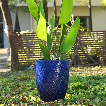Loheer Handmade Navy Blue Ceramic Planter Pot for Monstera and Fiddle Leaf Fig
