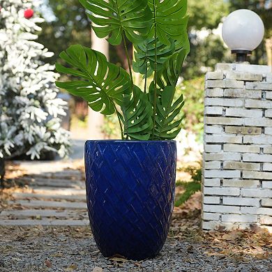 Loheer Handmade Navy Blue Ceramic Planter Pot for Monstera and Fiddle Leaf Fig