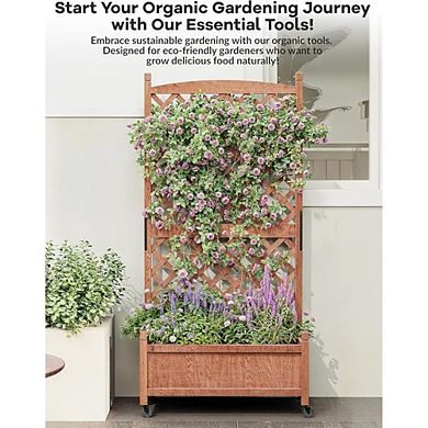 Wooden Raised Garden Bed 61" with Trellis, Wheels, Drainage for Herbs & Flowers, 2 Pack