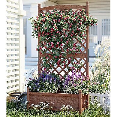 Wooden Raised Garden Bed 61" with Trellis, Wheels, Drainage for Herbs & Flowers, 2 Pack