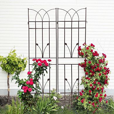 4-Piece Metal Garden Trellis Set for Climbing Vines Flowers and Vegetables