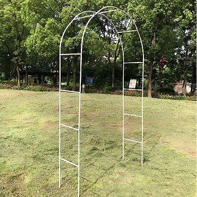 Yard Pathway Arbor Arch Trellis for Garden Walkway Vines and Flowers