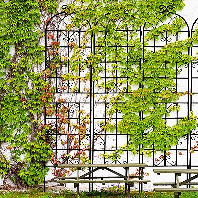 Loheer 4 Pack Metal Garden Trellis for Climbing Plants Outdoor Rustproof Black