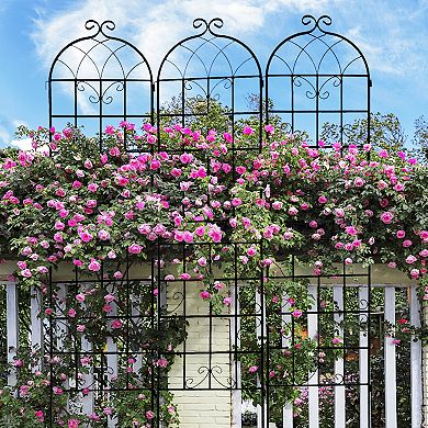 Loheer 4 Pack Metal Garden Trellis for Climbing Plants Outdoor Rustproof Black