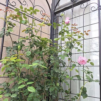 Loheer 4 Pack Metal Garden Trellis for Climbing Plants Outdoor Rustproof Plant Support