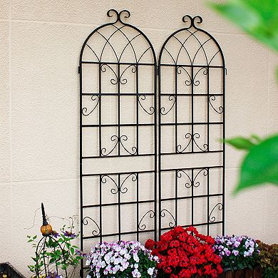 Loheer 2 Pack Metal Garden Trellis for Climbing Plants Outdoor Flower Support