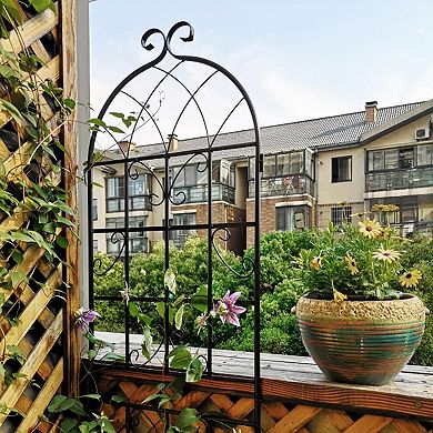 Loheer 2 Pack Metal Garden Trellis for Climbing Plants Outdoor Flower Support