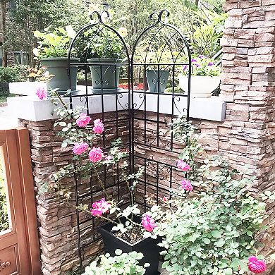 Loheer 2 Pack Metal Garden Trellis for Climbing Plants Outdoor Flower Support