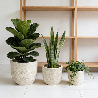 KWPZQEB Modern Design Light Yellow Planter, Large Outdoor Round Magnesium Oxide Planter Set of 3
